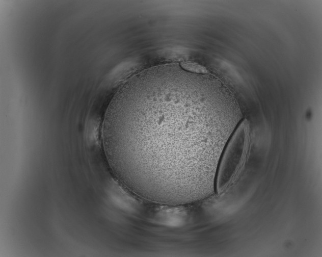X0000094970185200712061436