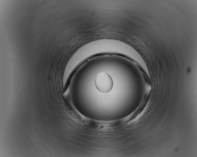 X0000094970186200712061436