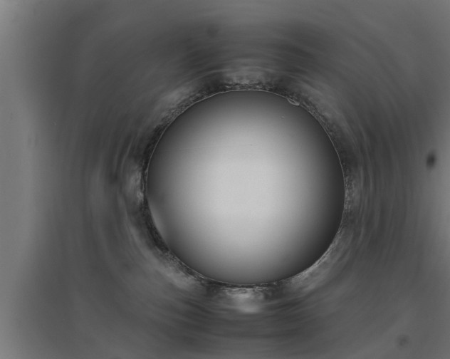 X0000094970187200712061436