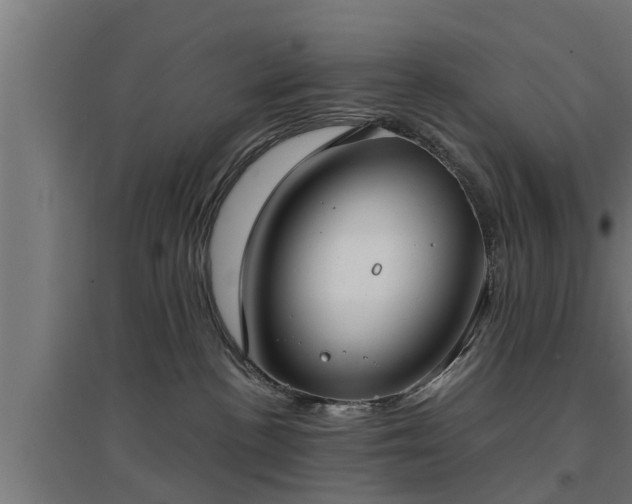 X0000094970188200712061436