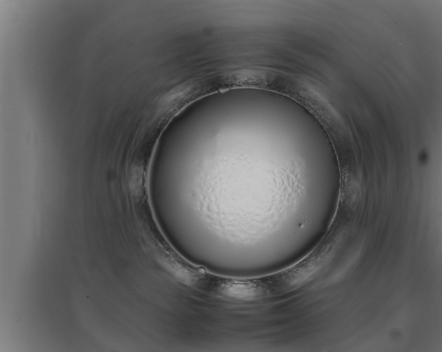 X0000094970189200712061436