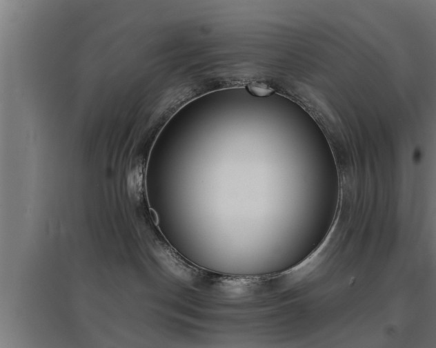 X0000094970190200712061436