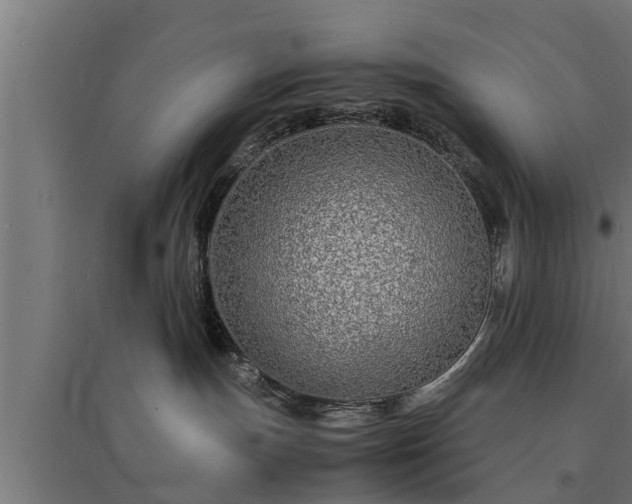 X0000094970191200712061436