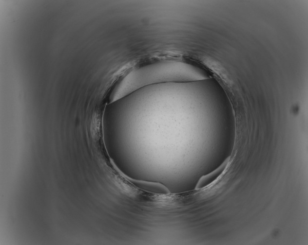 X0000094970192200712061436