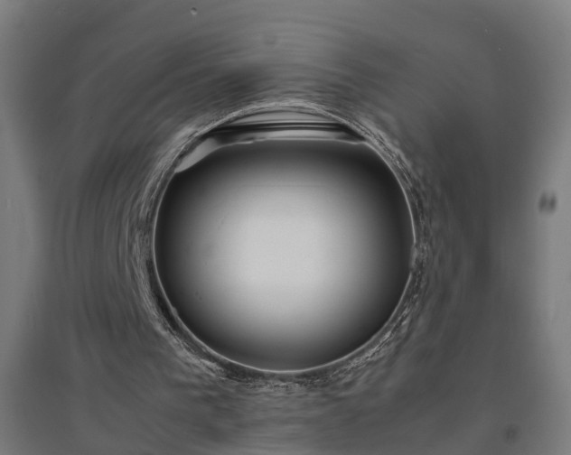 X0000094970193200712061436