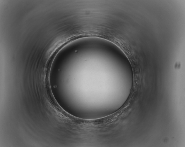 X0000094970194200712061436