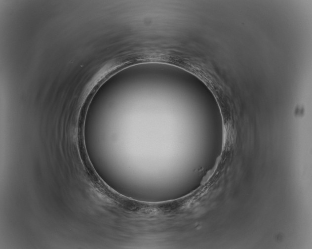 X0000094970195200712061436