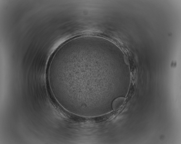 X0000094970196200712061436