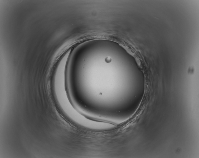 X0000094970197200712061436