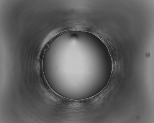 X0000094970198200712061436