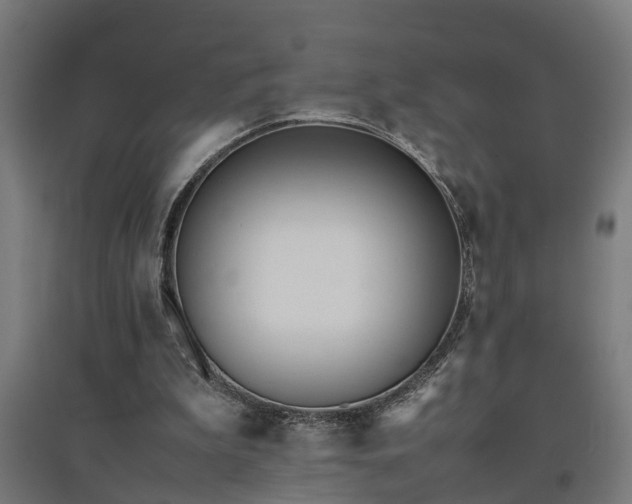 X0000094970199200712061436