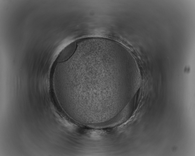 X0000094970200200712061436