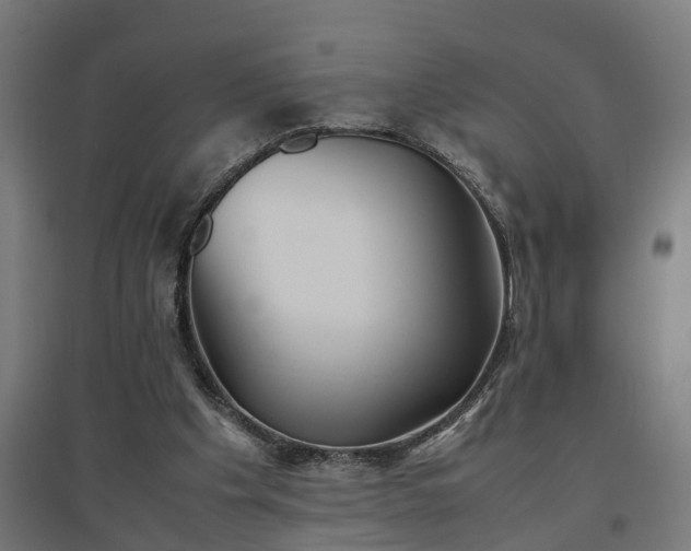 X0000094970201200712061436