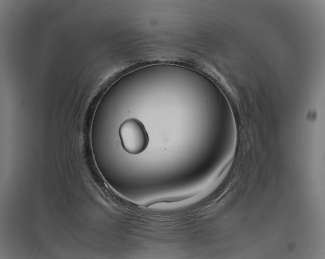 X0000094970203200712061436