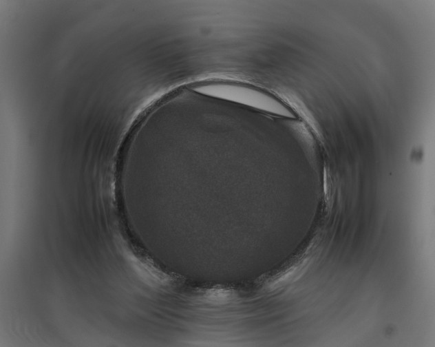 X0000094970204200712061435