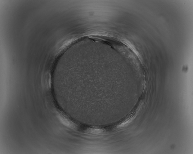 X0000094970205200712061435