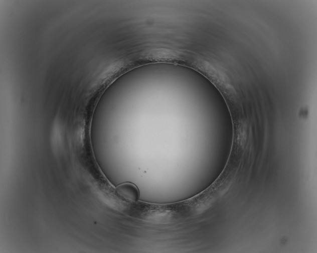 X0000094970206200712061435