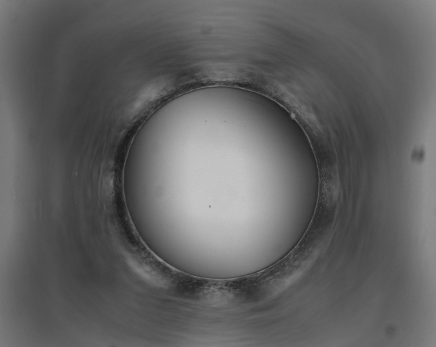 X0000094970207200712061435