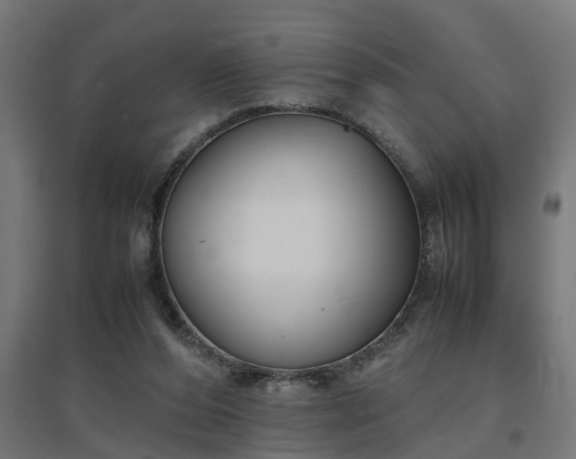 X0000094970208200712061435