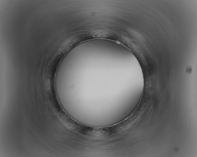 X0000094970209200712061435