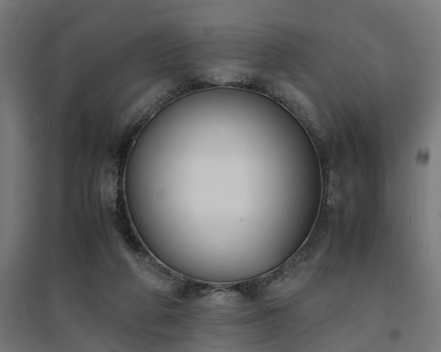 X0000094970210200712061435