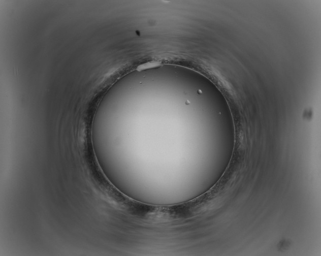 X0000094970211200712061435