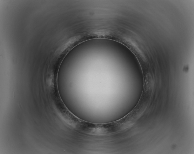 X0000094970212200712061435