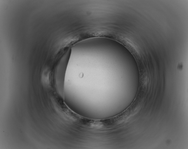 X0000094970214200712061435