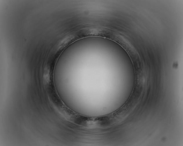 X0000094970216200712061435