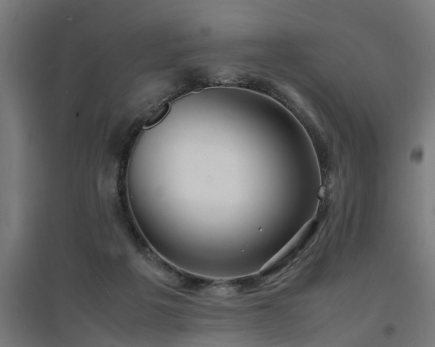 X0000094970217200712061435