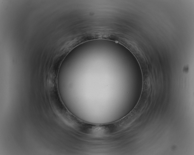 X0000094970218200712061435