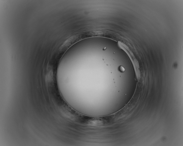 X0000094970220200712061435