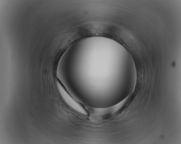 X0000094970221200712061435