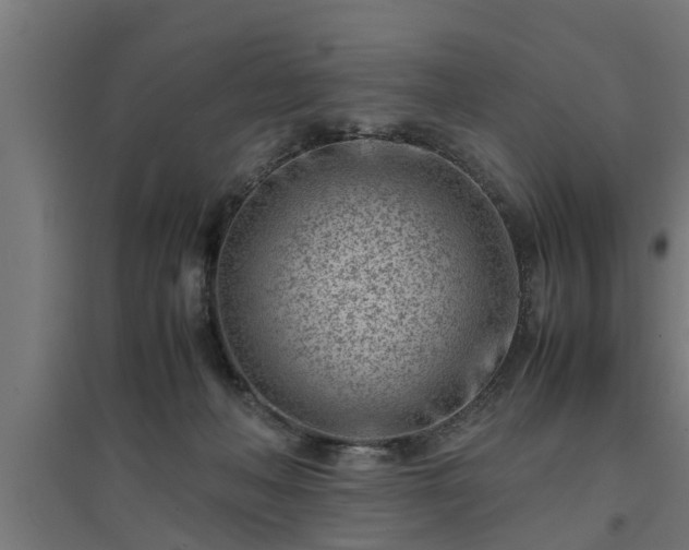 X0000094970222200712061435