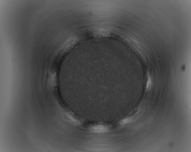 X0000094970224200712061435