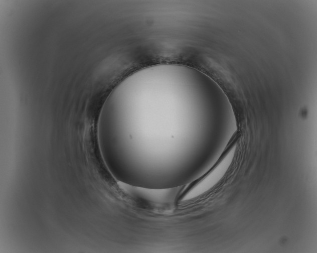 X0000094970225200712061435