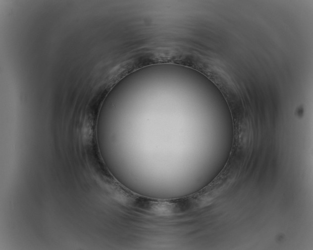 X0000094970226200712061435