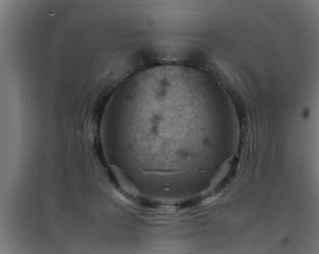 X0000094970227200712061435