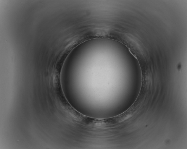 X0000094970228200712061435