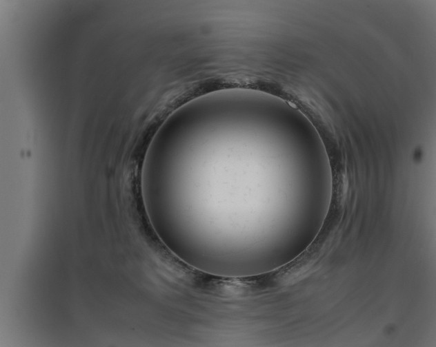 X0000094970229200712061435