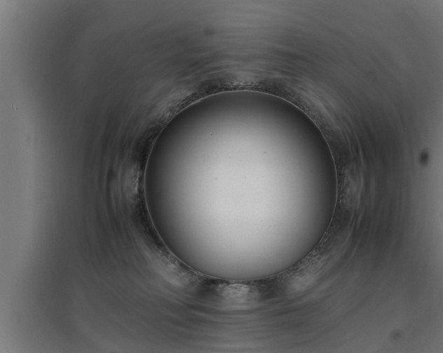 X0000094970230200712061435