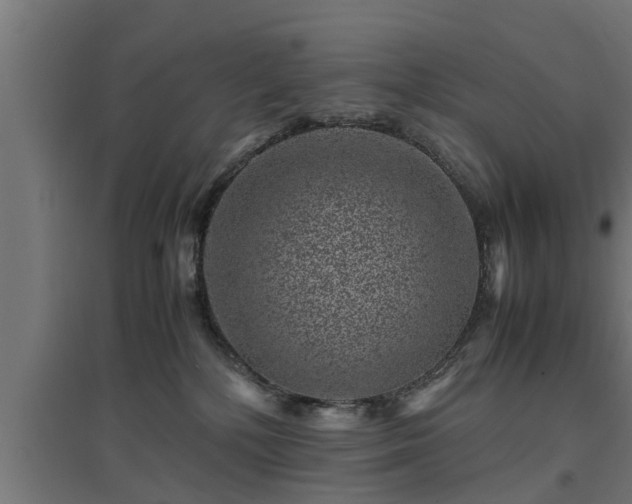 X0000094970232200712061435