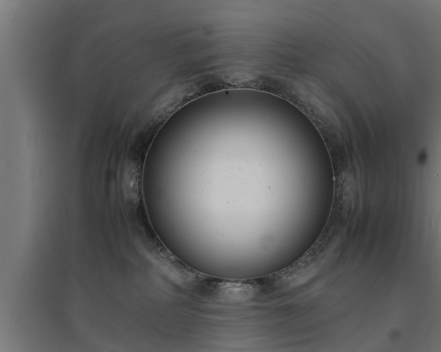 X0000094970234200712061435