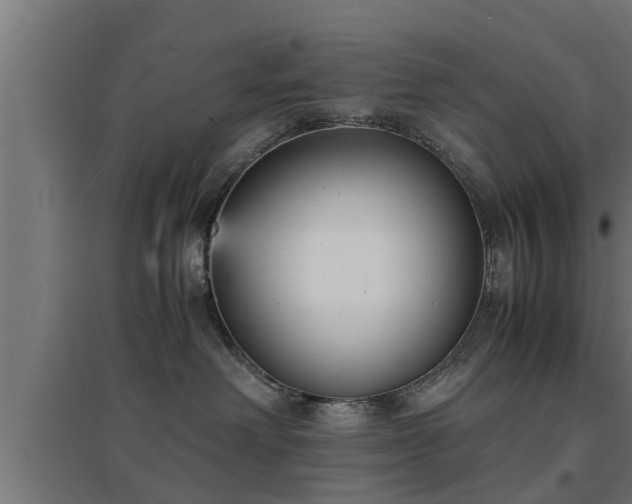 X0000094970238200712061435