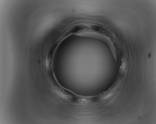 X0000094970239200712061435