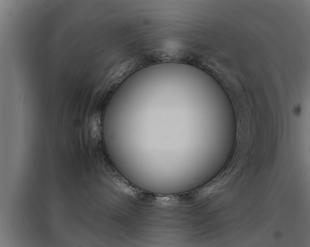 X0000094970240200712061435