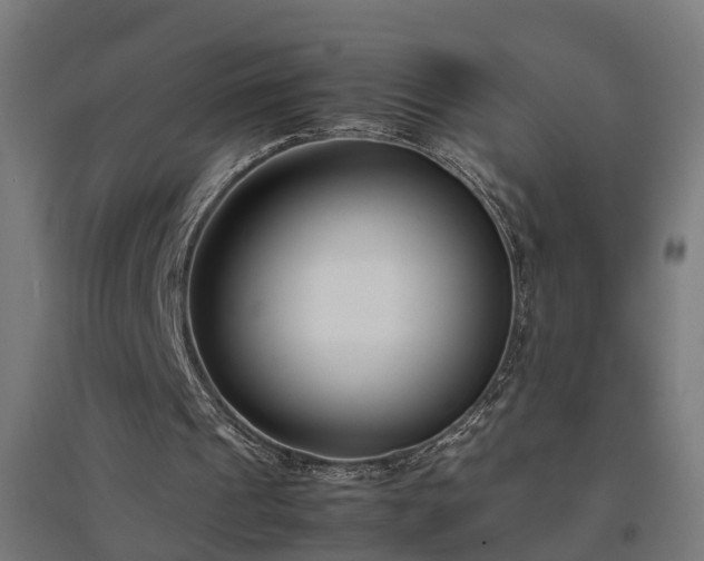 X0000094970241200712061434