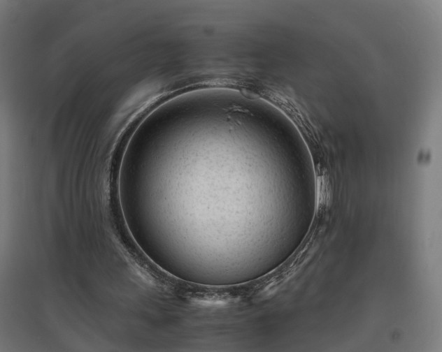 X0000094970243200712061434