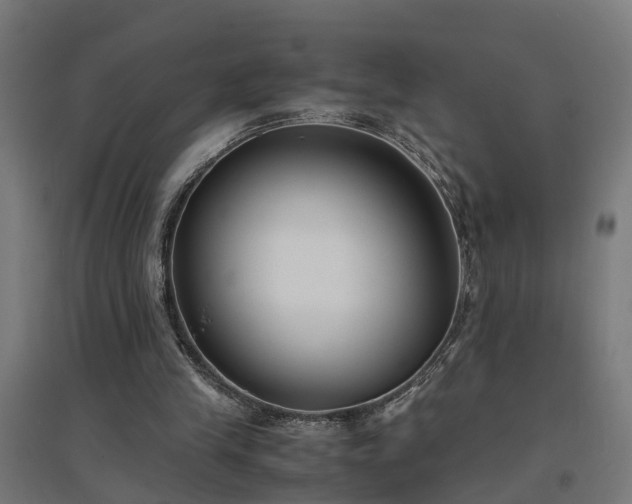 X0000094970245200712061434