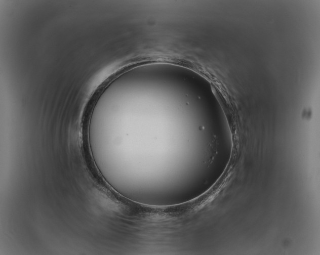 X0000094970246200712061434